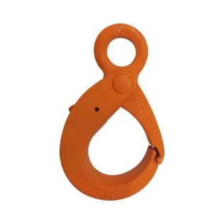 CM® Eye Style Latchlok Hook, Grade 100, 9/32", 4,300 lb WLL - 1429764