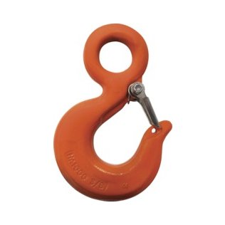 CM® Rigging Hook with Latch, Grade 100, 9/32", 4,300 lb WLL - 1429722