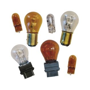  Miniature Bulb Assortment - P24686