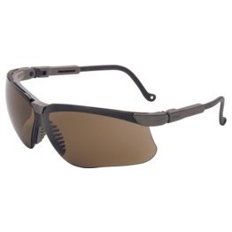 Sperian Genesis Safety Glasses - CW5404