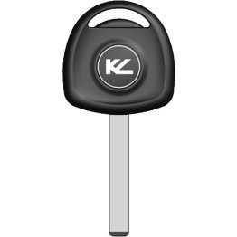  Pod Key for General Motors (BVX5-PT-SHELL) - 1495366