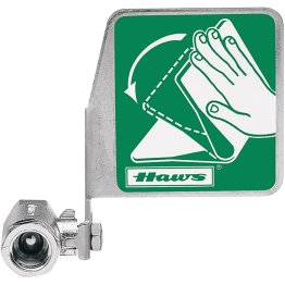 Haws Ball Valve w/Flag Chrome Plt Brass SP229 - 1648062