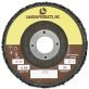 Coating Removal Disc 4-1/2"
